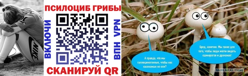 Галлюциногенные грибы Psilocybe  маркетплейс Telegram  Завитинск 